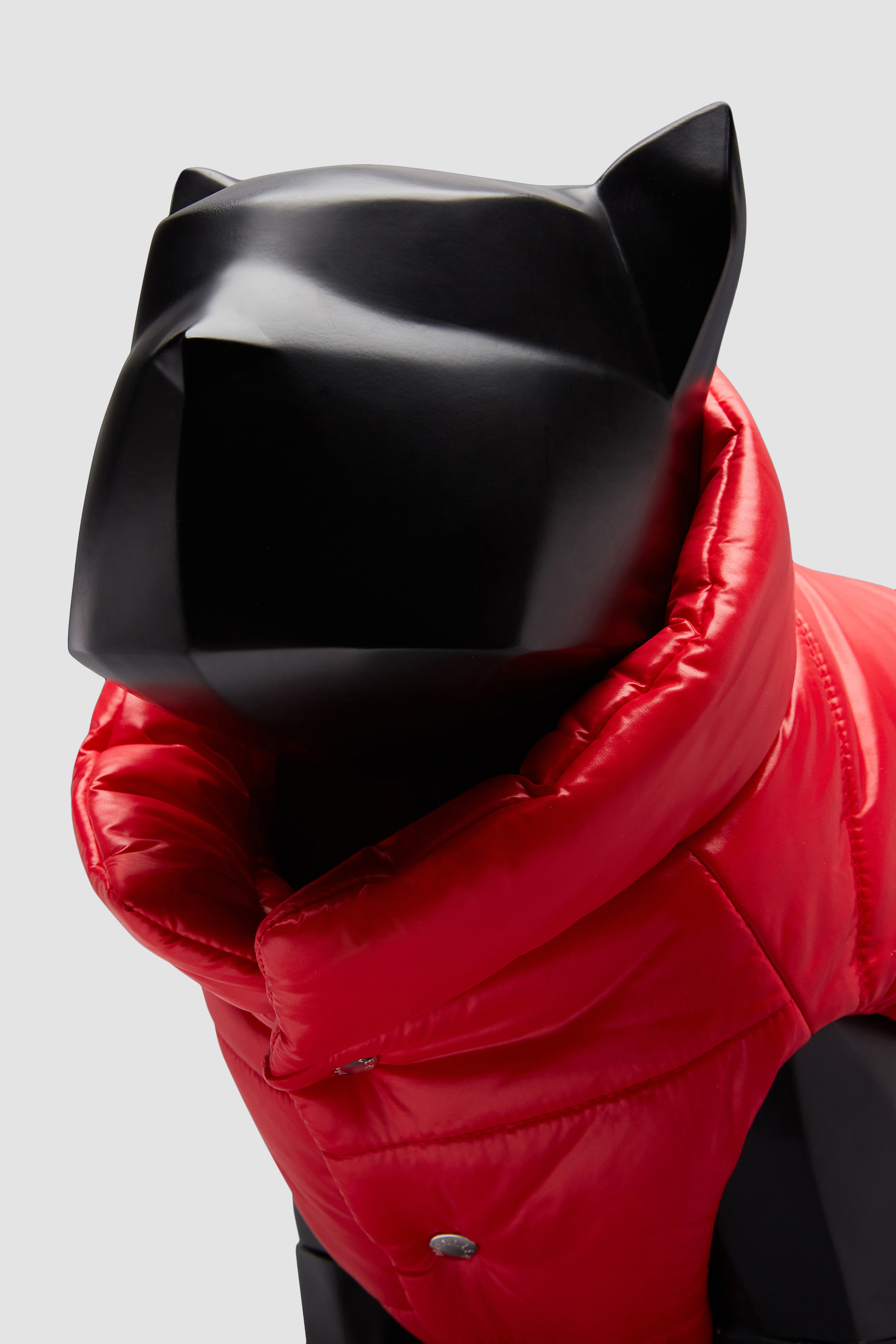 Moncler Poldo Dog Couture - Genius - 合作系列| Moncler 盟可睐