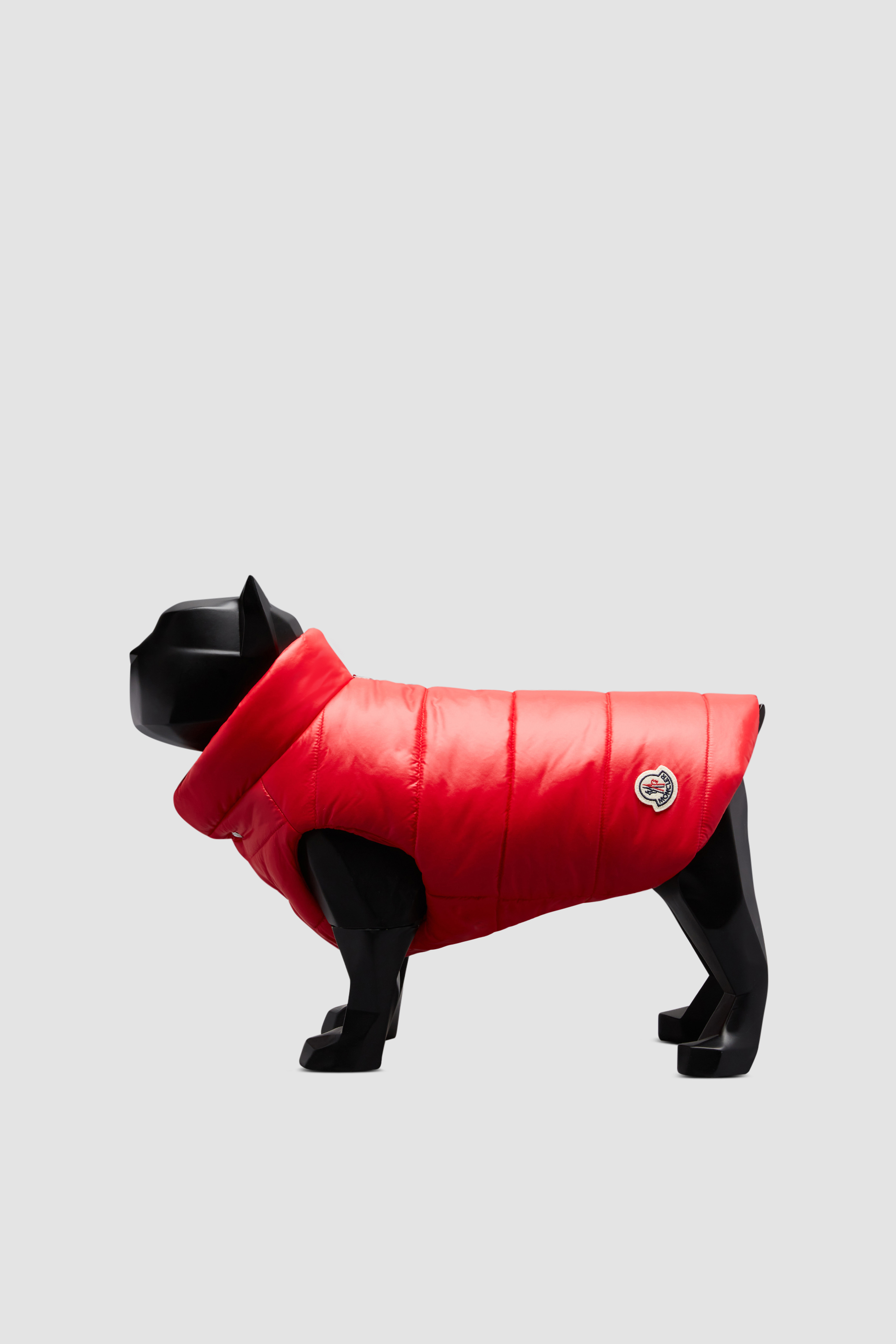 Moncler Poldo Dog Couture - Genius - 合作系列| Moncler 盟可睐