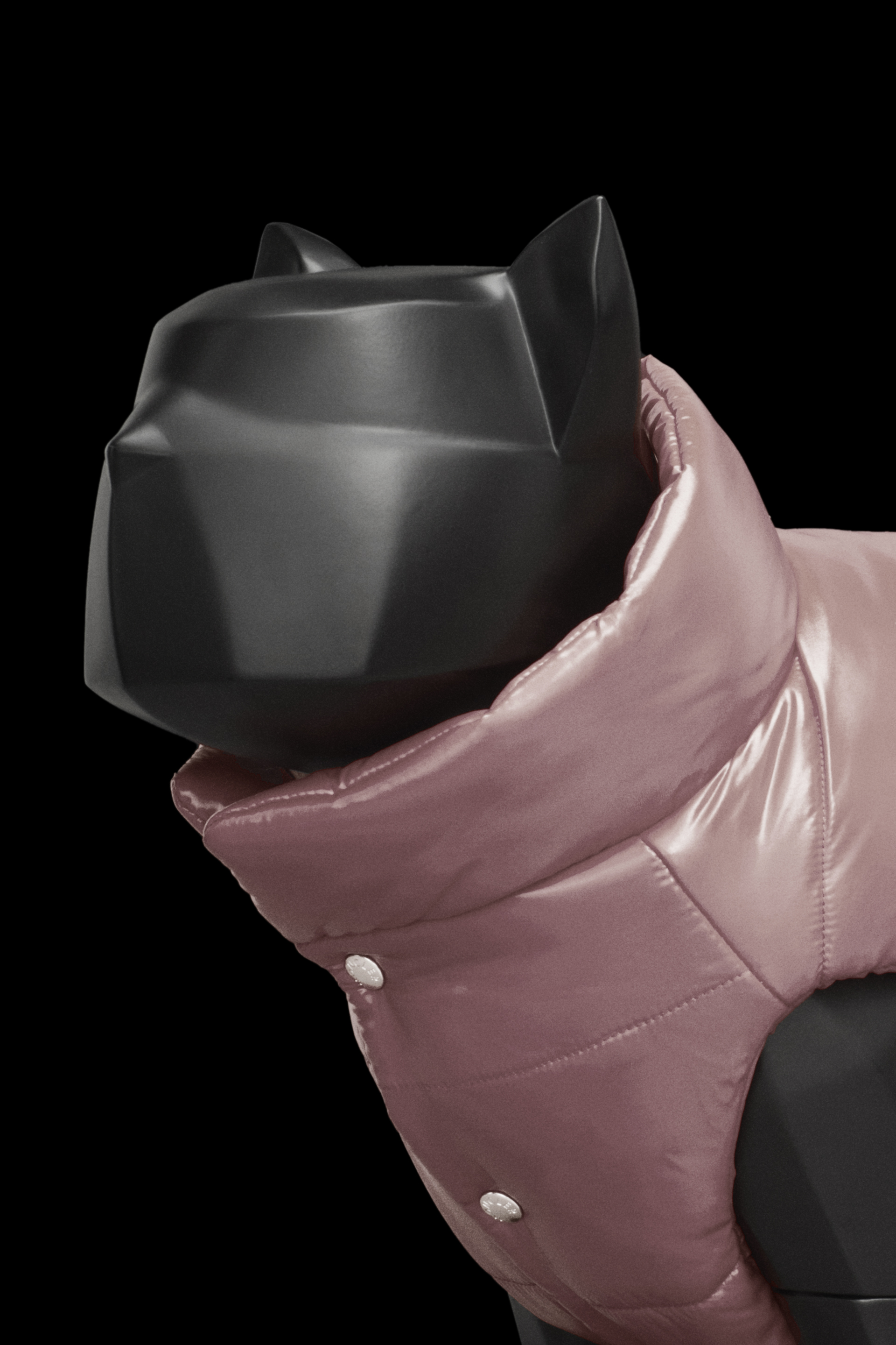 Moncler Poldo Dog Couture - Genius - 合作系列| Moncler 盟可睐